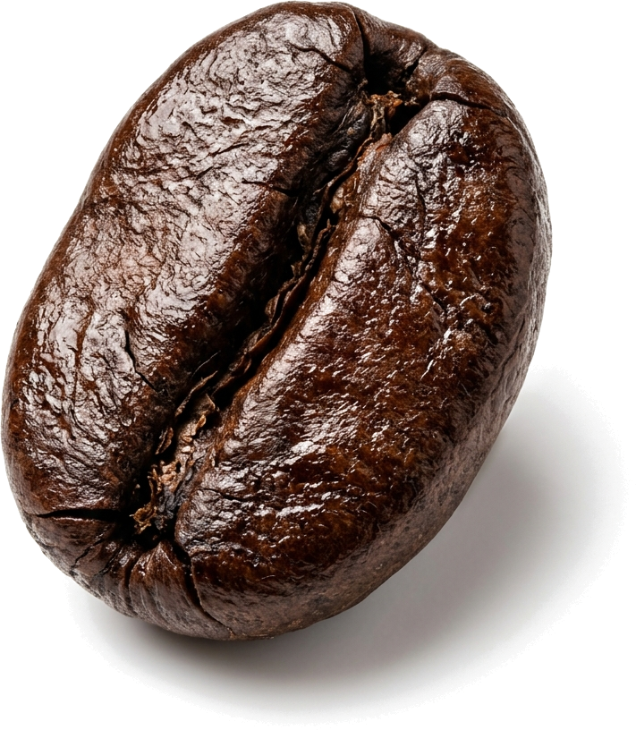 3D Roasted Arabica Coffee Bean